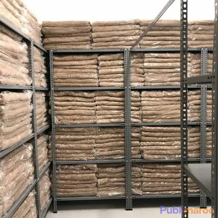 RYONNAGE LEGER