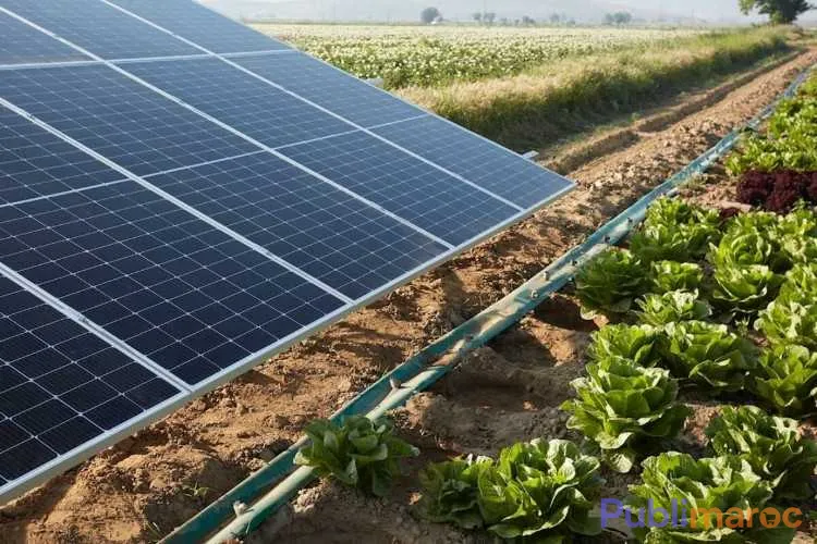 Énergie solaire et irrigation