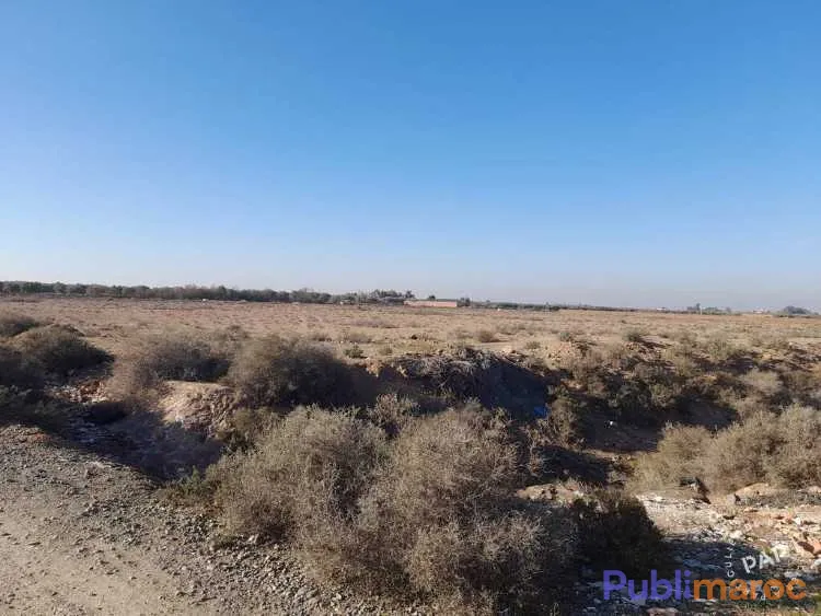 Terrain à vendre 27Ha à Sidi Abdellah Ghiat