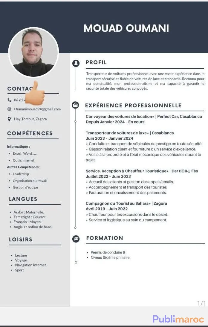 hauffeur professionnel