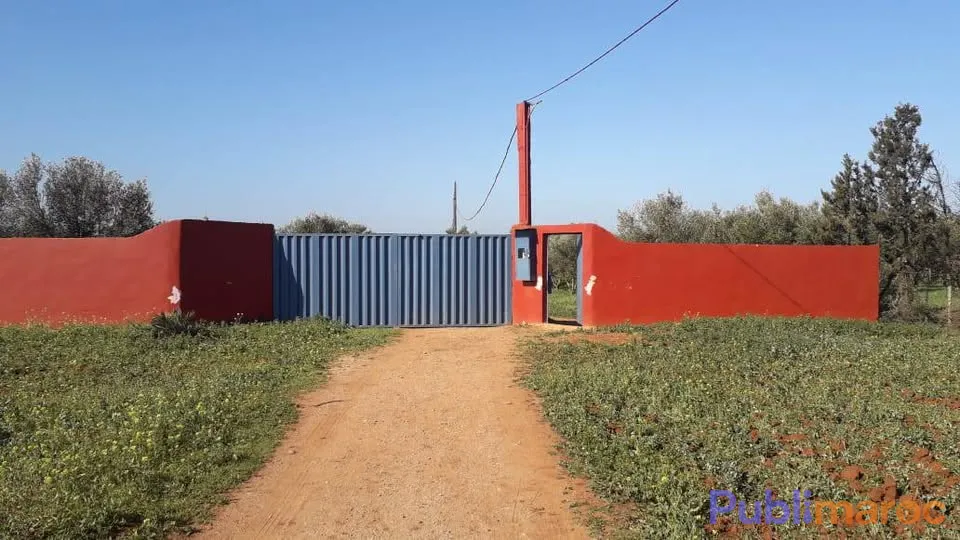 Ferme a vendre ouled hriz