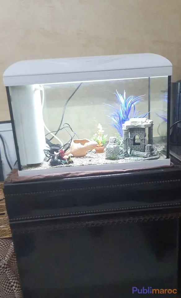AQUARIUM COMPLET EN TRÈS BON ÉTAT – PRÊT À L'EMPLOI !